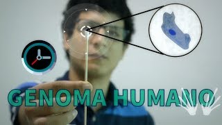 Descubriendo el Genoma Humano ft En 1 Minuto [upl. by Eeltrebor]