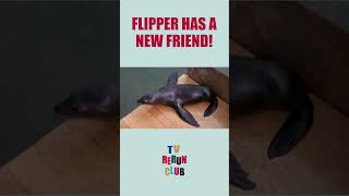 Flipper makes friends with a seal 🦭 TVRerunClub Flipper Adventure [upl. by Osnola706]