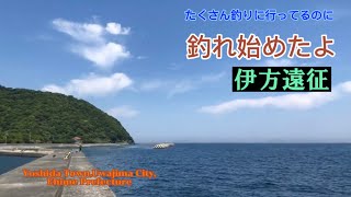 【愛媛県宇和島市吉田町】ゴールデンウイークに、伊方町まで遠征 [upl. by Erna]