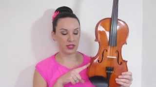 Stentor Student Standard 1018A Violin Review [upl. by Lois]