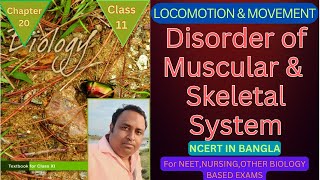 muscular and skeletal disorder class11neet Harunbiozone [upl. by Dugas389]