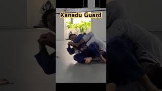 Xanadu Guard XanaduGuard [upl. by Adnolahs941]