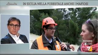 In Sicilia nella Forestale anche i mafiosi [upl. by Liartnod]