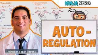 Renal  Autoregulation Updated [upl. by Ahsiener802]