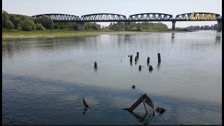 Secca fiume Po a Ostiglia resti del ponte bombardato nel 1944 e di ponte provvisorio USA del 1945 [upl. by Lleret]