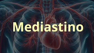 Mediastino [upl. by Orvas392]