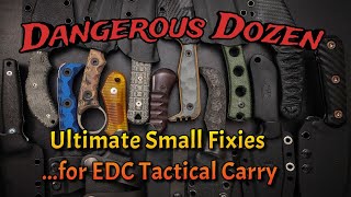 Dangerous Dozen Fixed Blades A Bakers Dozen EDC Tactical Pocket or Belt Carry Beauties [upl. by Ecnal]