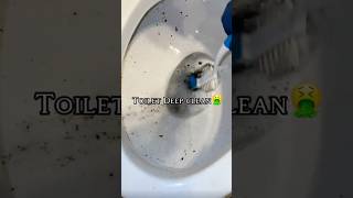 Toilet Deep clean🤢 cleantok toiletbowl asmr cleaning [upl. by Ayocat920]