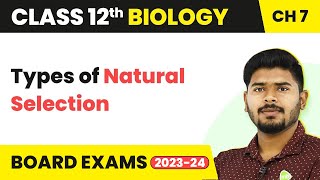 Class 12 Biology Chapter 7  Types of Natural Selection  Evolution 202223 [upl. by Ybeloc237]