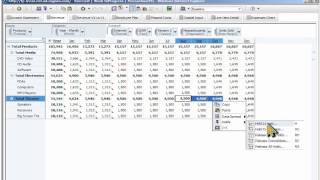 ND IBM Cognos TM1 Demo [upl. by Enamrahc725]