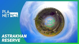 VR 360  Astrakhan biosphere reserve [upl. by Lemraj770]