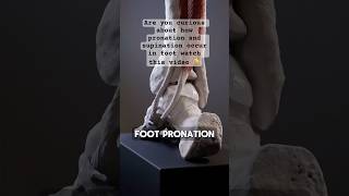 Master Pronation amp Supination Foot Mechanics Simplified for Students PronationVsSupination [upl. by Brad]