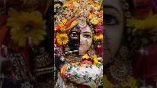 Jis din Tujhko na dekhun 🙏♥️✨ trending shorts youtube radhakrishna status video [upl. by Sculley]