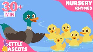 Five Little Ducks  Baby Shark  more Little Mascots Nursery Rhymes amp Kids Songs [upl. by Rimola71]