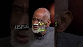 Dr Sebi on Natural Healing and the Power of Herbs [upl. by Waddell]