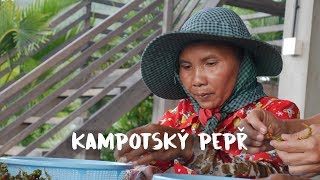 Nejlepší pepř na světě Kampot [upl. by Cost]