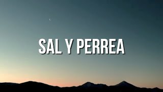 Sech  Sal y Perrea LetraLyrics [upl. by Hui]