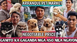 PWEDE MO PANG TAWARAN MGA BAGONG DATING NA ASO SA ARRANQUE PET MARKET [upl. by Mordecai]