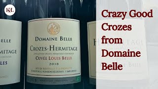 95point CrozesHermitage from Domaine Belle for 2999 [upl. by Anelegna]