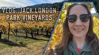 Vlog Jack London Park Vineyards amp Beauty Ranch [upl. by Einafit]