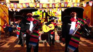 4K Amazing Mariachi Anahuac Band Disneyland Paris Ultra High Quality [upl. by Nuahsal]