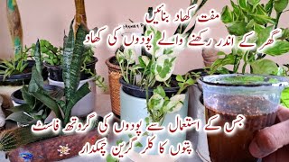 Best Fertilizer for Indoor Plants  Organic Free Fertilizer for Fast Growth of Plants [upl. by Abshier]