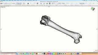 Measuring the Anteversion angle of the femur Dog [upl. by Aley]