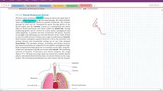 Chapter 17 Breathing and exchange of gases NCERT level in HINDI [upl. by Vinaya]