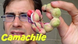 Camachile Pithecellobium dulce Review in Bangkok  Weird Fruit Explorer  Ep 77 [upl. by Dorion288]