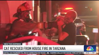 Cat rescued from house fire in Tarzana [upl. by Giah]