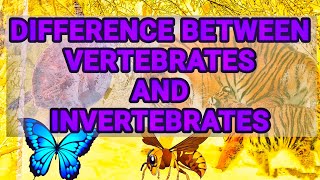 Difference between vertebrates and invertebrates  chordates and non chordates difference [upl. by Pernell606]