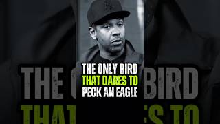 The Only Bird That Dares to Peck an Eagle is the Crow denzelwashington motivation successquotess [upl. by Julianne]