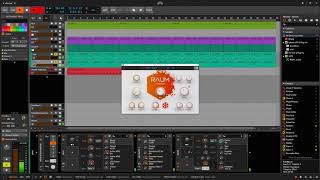 Native Instruments Raum amp Bitwig [upl. by Esojnauj]