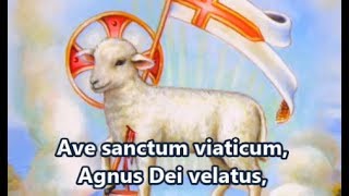 Ave Sanctum Viaticum  Traditional Catholic Latin Hymn [upl. by Eirehs569]