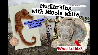 Mudlarking with Nicola White  A rare discovery [upl. by Maureene329]