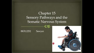 Chapter 15 Lecture Video [upl. by Ori]