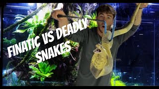 Fisherman handles deadly snakes finatic [upl. by Leirej]