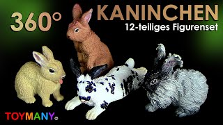 Toymany © 12 Kaninchen  Rabbits  Playset  Spielset  360° Nahaufnahme  Close up [upl. by Nirro]