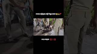 ଜୟ ଜଗନା଼ଥ my susanta video odia story [upl. by Raye]