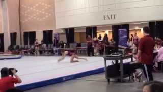 2015 Julianna Roland Pink Invitational Floor Routine [upl. by Grearson]