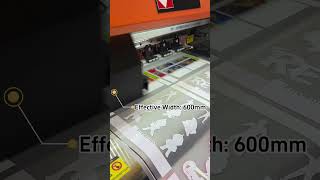 DTF Printer [upl. by Etessil]