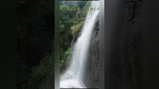 Yercaud Falls Hidden Place Nallur Falls Near Manjankutta [upl. by Dante]