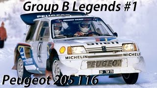 Group B Legends 1 Peugeot 205 Turbo 16T16 Evo 2 [upl. by Reteip]