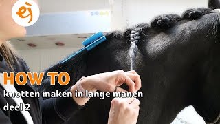 HOW TO KNOTTEN maken in LANGE MANEN  Deel 2  68  Epplejeck [upl. by Ferino213]