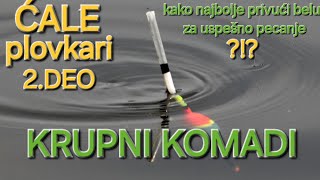 KRUPNI KOMADI NA PLOVAK × NAJEFIKASNIJI NAČIN ZA USPEŠNO PECANJE BELE RIBEfloatfishing [upl. by Glynias]