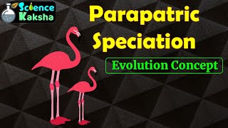 PARAPATRIC SPECIATIONIn Hindi  CSIR NET  EVOLUTION  GATE [upl. by Chelsey]