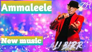 Ali Birra AmmaleeleNew Ethiopian music Oromo music 2022 [upl. by Eyla]