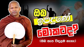 ඔබ ඉපදුණේ මොකටද  Ven Handapangoda Nivathapa Himi [upl. by Vassily]