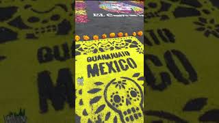 Día de Muertos en Guanajuato diademuertosmexico short [upl. by Daht385]