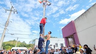 Puerco encebado y Palo encebado Lo de Lamedo Tepic Nayarit 2022 [upl. by Uahsoj]